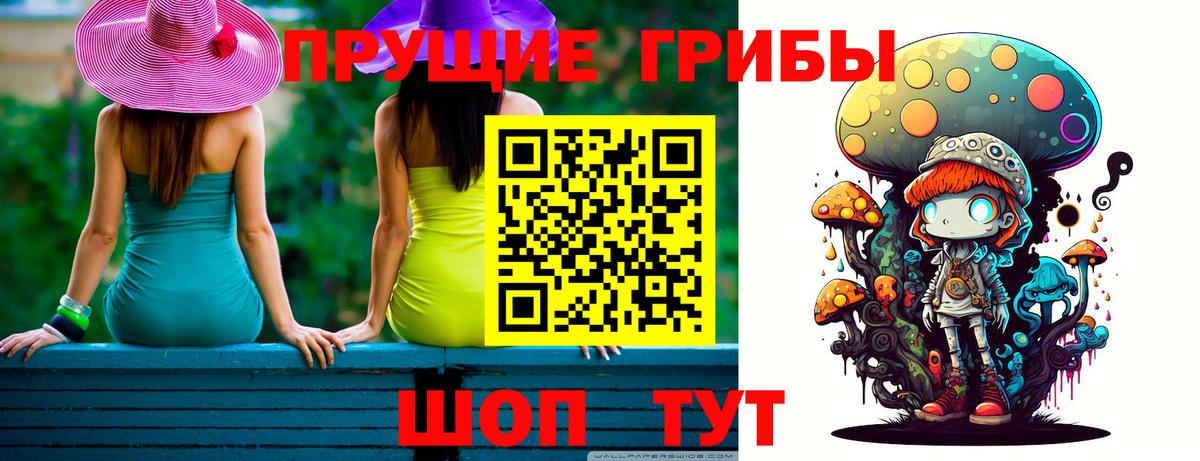 Псилоцибиновые грибы GOLDEN TEACHER Кохма