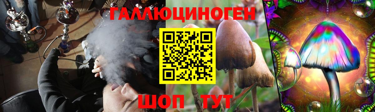 Кохма  Галлюциногенные грибы Psilocybe  Вход с VPN 