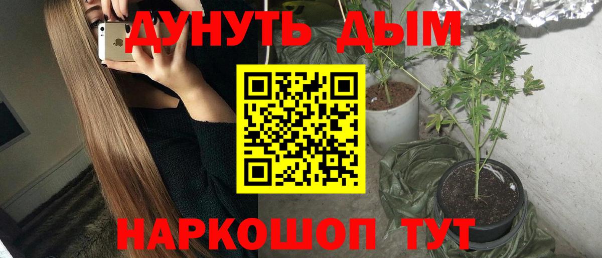 Конопля SATIVA & INDICA Кохма
